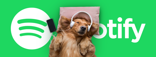 Spotify Introduces Pet Playlists to Make Your Doggo Happy