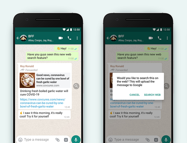 Search the Web feature WhatsApp