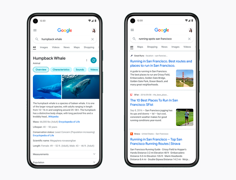 The new Search interface and snippets of Google