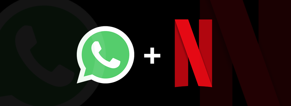 qual e o número da netflix whatsapp