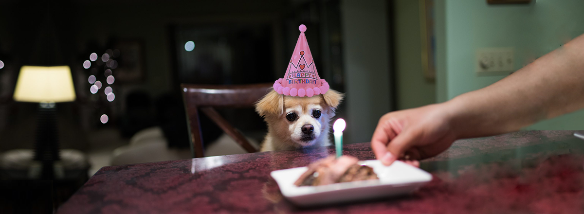 How to Celebrate a Birthday in Quarantine