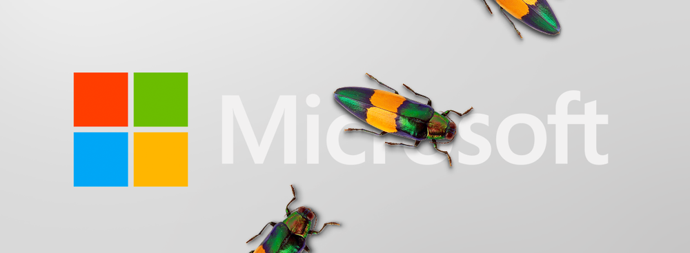 More Than 60 Thousand Organizations Were Hacked Due to Microsoft Software Vulnerability