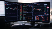 Discover Foizelanv: Is It Trustworthy Tool or a Risky Bet?