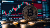 Is Grotaxiv a Game Changer in the Trading World? Find Out Now!