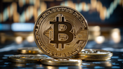 Investigate Falke Vermoburg: Is It the Right Trading Tool for You?