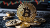 Warven Wealthvale: A Must-See for Every Trader - Is It Trustworthy?