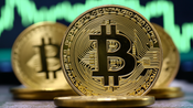 Investigate Bursenix AI: Is It The Trustworthy System?