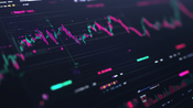 Discover Ryzí Majetárna: Trustworthy Trading System?