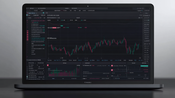 Investigate Nexo Portaris's Trustworthiness: Pros and Cons Revealed