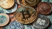 Investigating Dinamora Bitex: Is It a True Trading Powerhouse?
