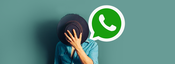 How to Remain Incognito When Chatting in WhatsApp: Ways of Sending Messages Without Showing Online