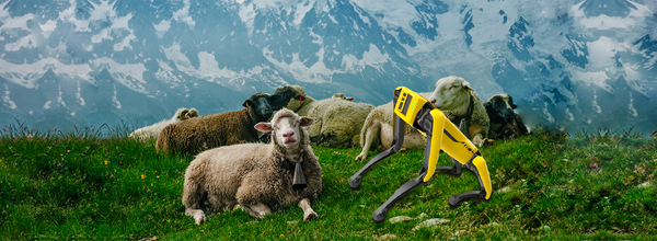 Boston Dynamics’ Robot Dog Spot Can Herd Sheep