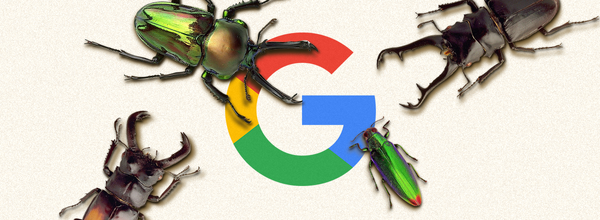 Google Added 23 AR Creepy Crawlies to Its 3D Animals Search Collection