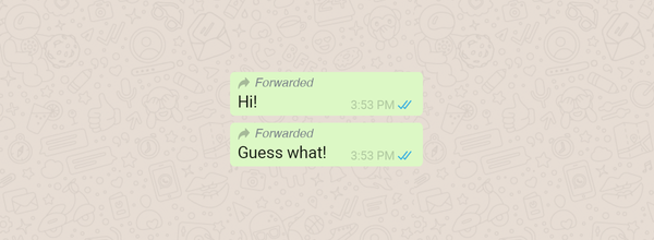 Handy Tips: How to Tell How Many Times Your WhatsApp Message Has Been Forwarded