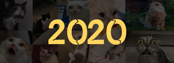 5 Reasons Why 2020 Was a Horrible Year