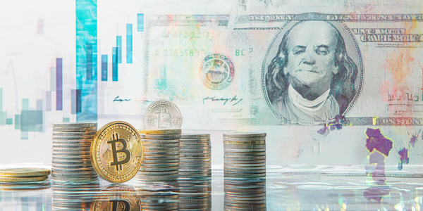 Précieux Lumerion Review: Is it A Trustworthy Trading Companion?